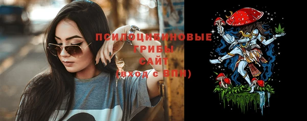 сатива Бугульма