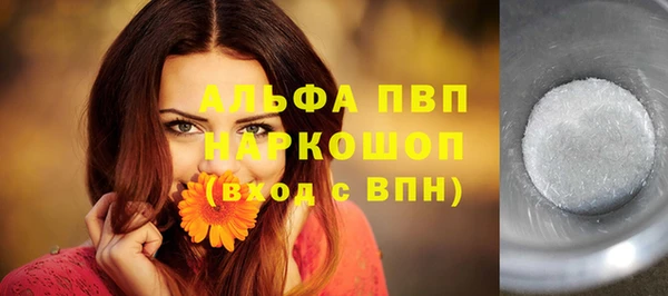 экстази Бородино
