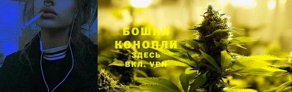 спиды Богородск