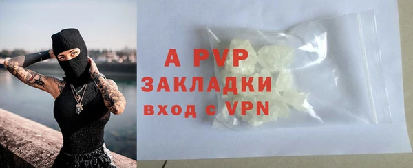 экстази Бородино