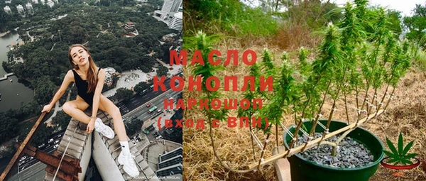 спиды Богородск