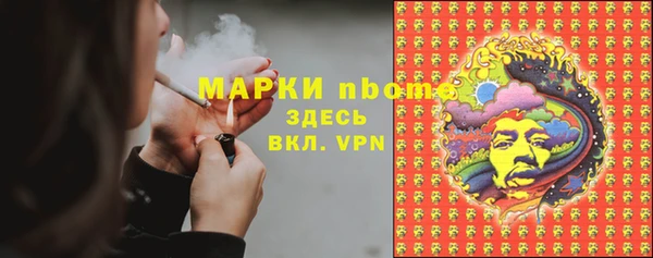 сатива Бугульма